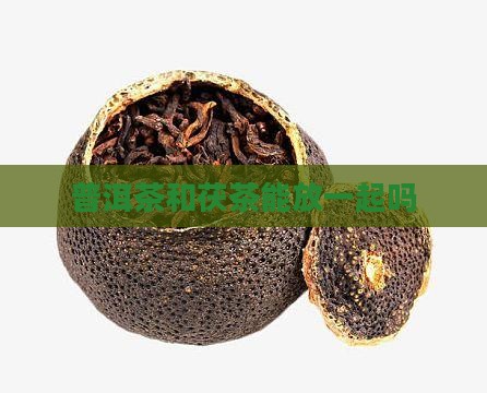 普洱茶和茯茶能放一起吗