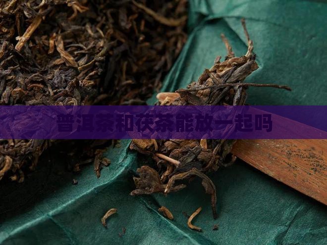 普洱茶和茯茶能放一起吗