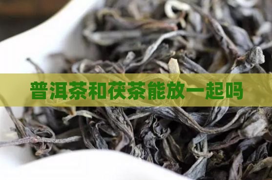 普洱茶和茯茶能放一起吗