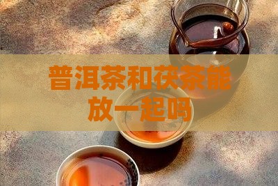 普洱茶和茯茶能放一起吗