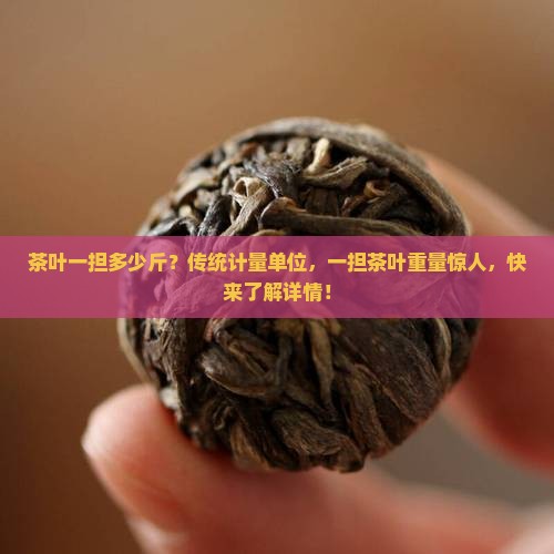 茶叶一担多少斤