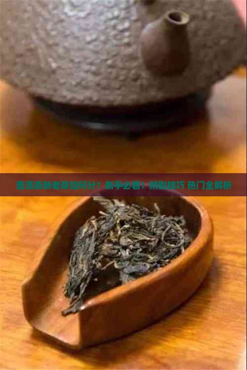 普洱茶新老茶如何分