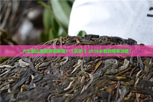 六大茶山普洱茶的各自特点