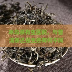 冰岛茶有生熟区别吗