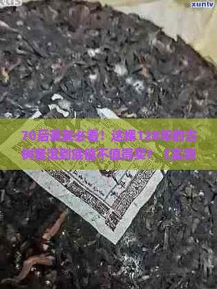 生来7p古树普洱茶128