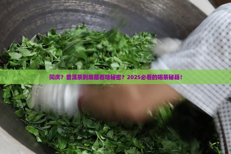 中华同庆普洱茶