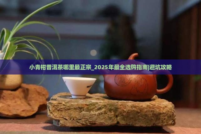 小青柑普洱茶哪里最正宗