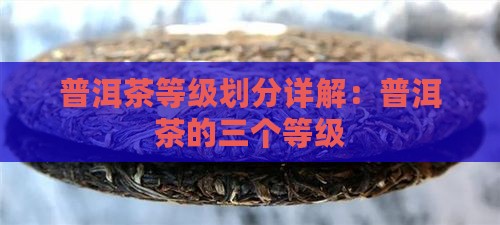 普洱茶分哪三个等级