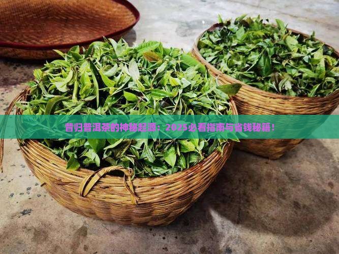 昔归普洱茶由来