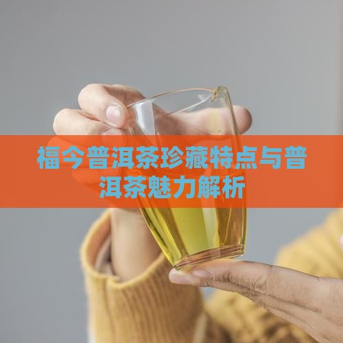 福今普洱茶特点