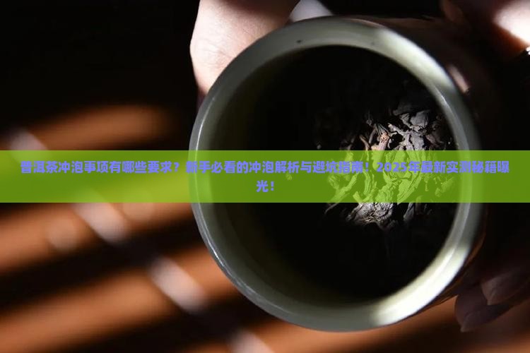 普洱茶冲泡事项有哪些要求