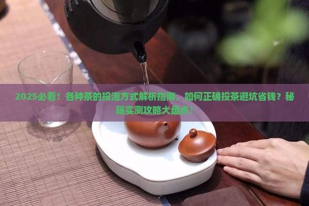 各种茶的投泡方式