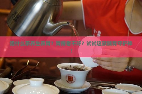 泡什么茶养生养胃