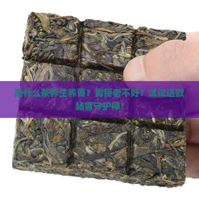 泡什么茶养生养胃