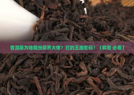 普洱茶为什么是茶叶王国