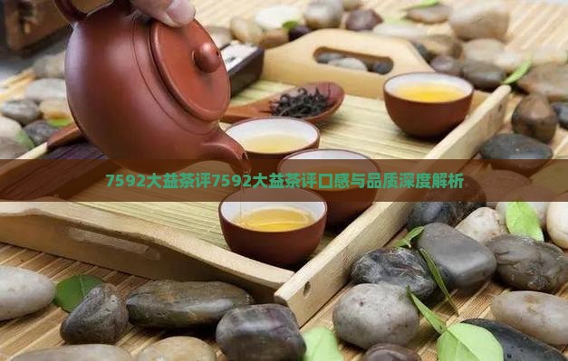 7592大益茶评