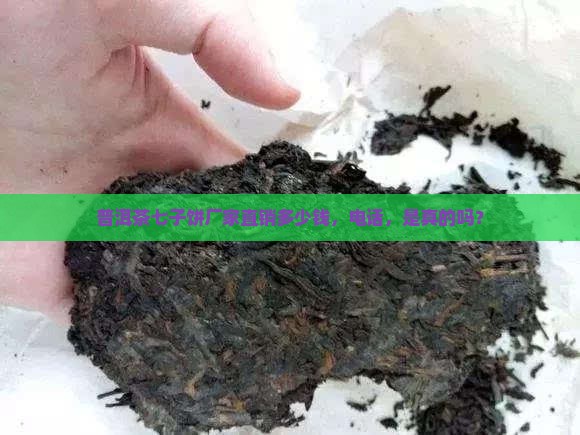 普洱茶七子饼厂家直销