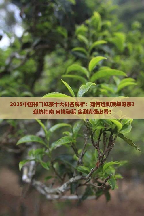 中国祁门红茶十大排名
