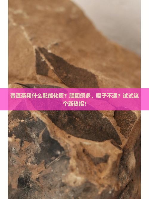 普洱茶和什么配能化痰