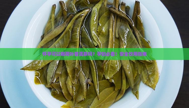 怀孕可以喝荷叶普洱茶吗
