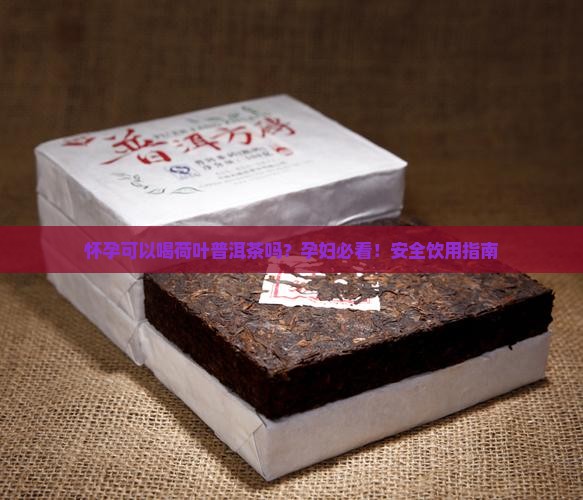 怀孕可以喝荷叶普洱茶吗