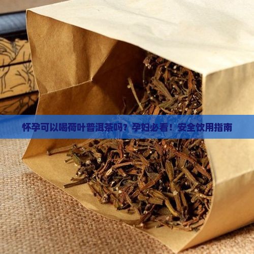 怀孕可以喝荷叶普洱茶吗