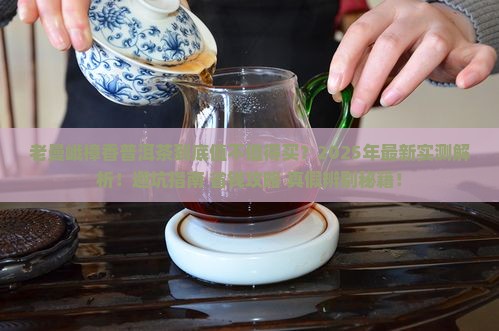 老曼峨樟香普洱茶