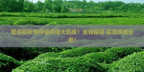 普洱茶秋季如何存储