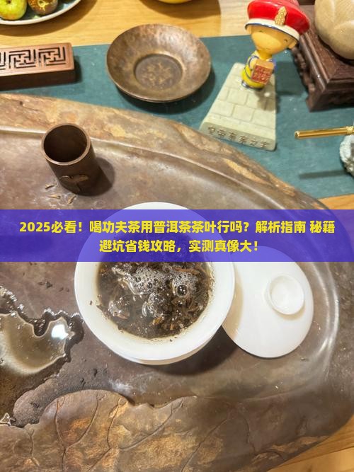 喝功夫茶用普洱茶茶叶行吗