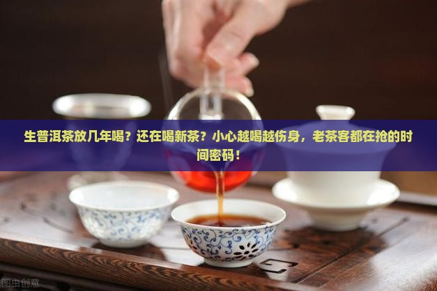 生普洱茶放几年