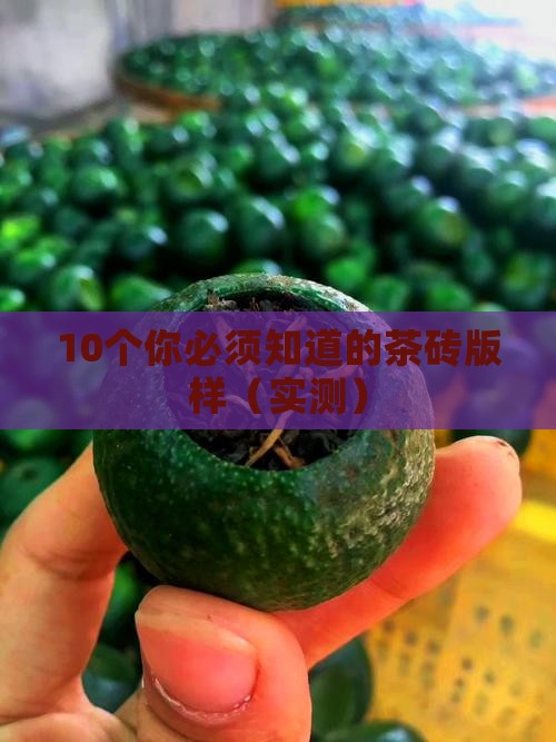 所有的茶砖版样