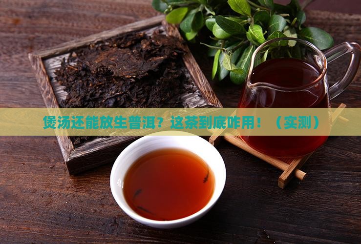 煲汤用的生普洱茶有哪些