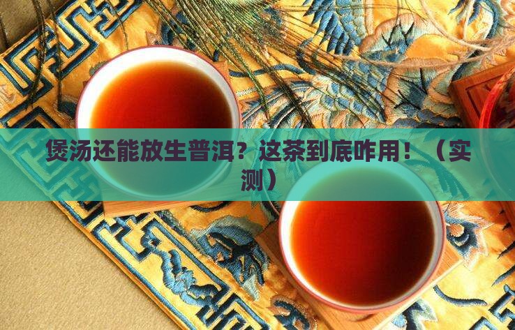 煲汤用的生普洱茶有哪些