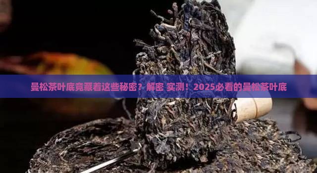 曼松茶的特点叶底