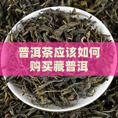 普洱茶应该如何购买藏