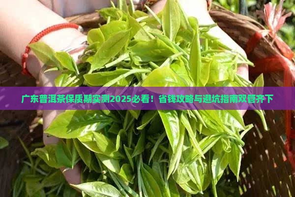 广东普洱茶保质期