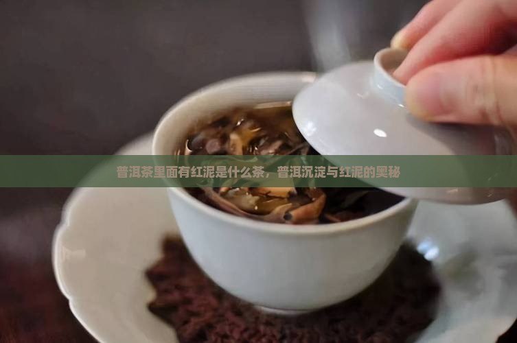 普洱茶里面有红泥是什么茶