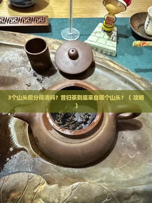 昔归茶是哪个山头的