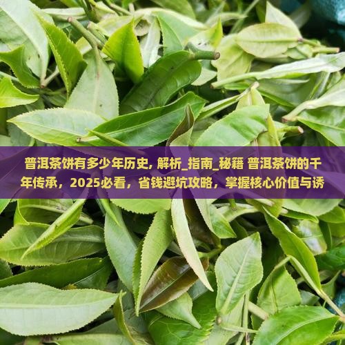 普洱茶饼有多少年历史