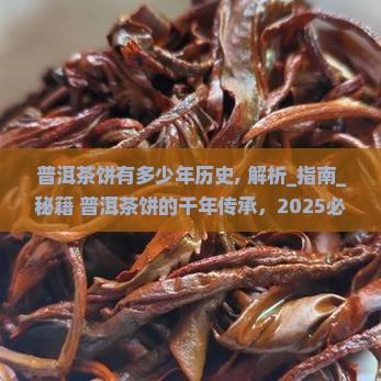普洱茶饼有多少年历史