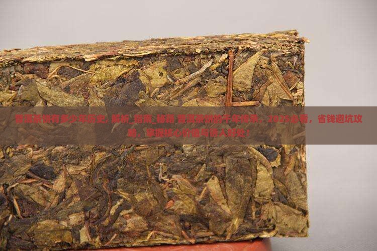 普洱茶饼有多少年历史