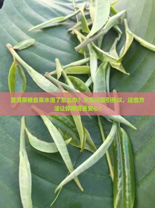 普洱茶被自来水泡了怎么办