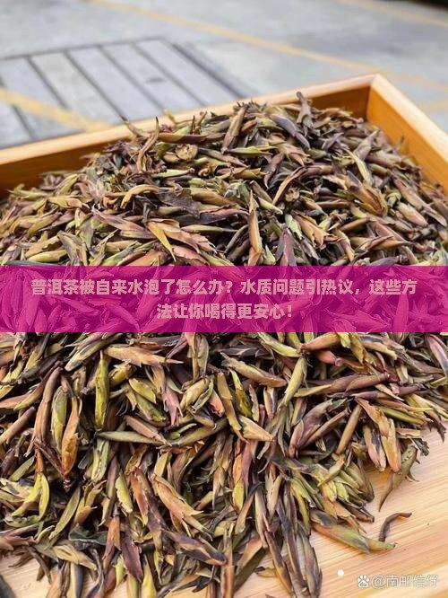 普洱茶被自来水泡了怎么办