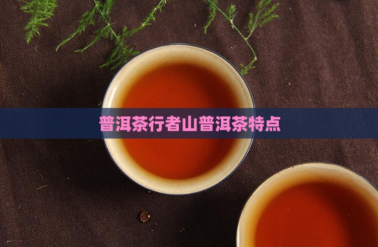 行者山普洱茶特点 行者山普洱茶特点