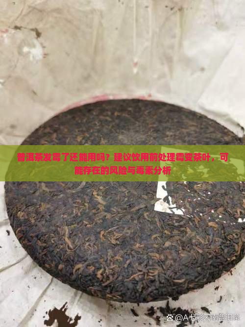 普洱茶发霉了能用吗