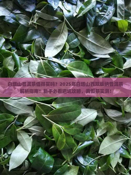 白塔山西双版纳普洱茶 白塔山西双版纳普洱茶