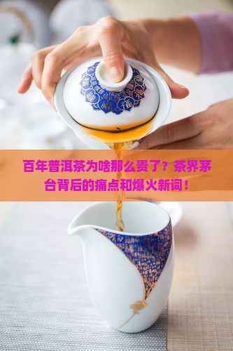百年普洱茶为啥那么贵了
