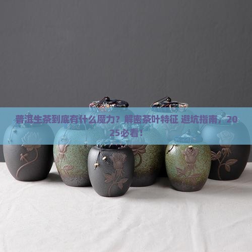 普洱生茶茶叶特征