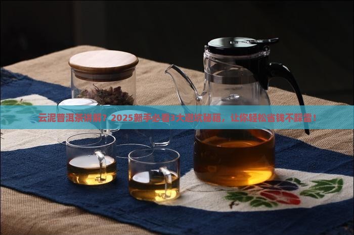 云泥普洱茶讲解