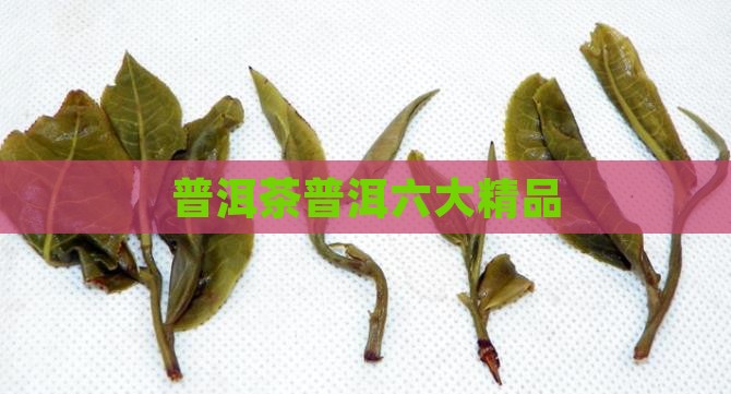 普洱茶六大精品